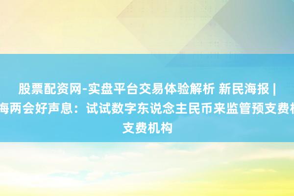 股票配资网-实盘平台交易体验解析 新民海报 | 上海两会好声息：试试数字东说念主民币来监管预支费机构