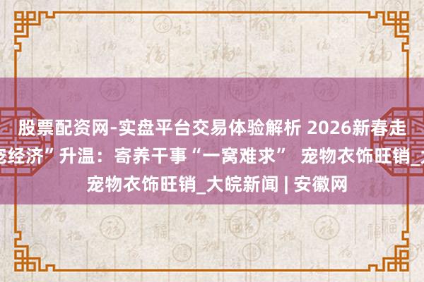股票配资网-实盘平台交易体验解析 2026新春走下层丨节前“萌宠经济”升温：寄养干事“一窝难求”  宠物衣饰旺销_大皖新闻 | 安徽网