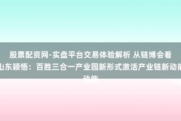 股票配资网-实盘平台交易体验解析 从链博会看山东颖悟：百胜三合一产业园新形式激活产业链新动能