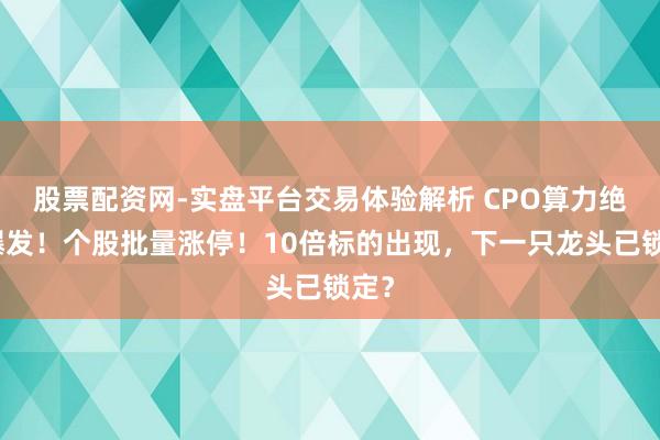 股票配资网-实盘平台交易体验解析 CPO算力绝对爆发！个股批量涨停！10倍标的出现，下一只龙头已锁定？